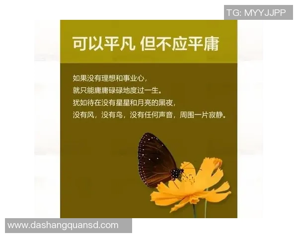 焦泊乔的成长之路与人生哲学探索：从平凡到卓越的心路历程