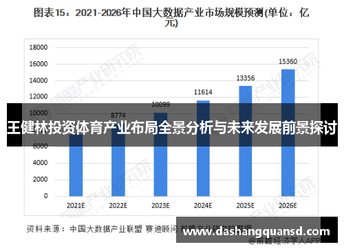 王健林投资体育产业布局全景分析与未来发展前景探讨